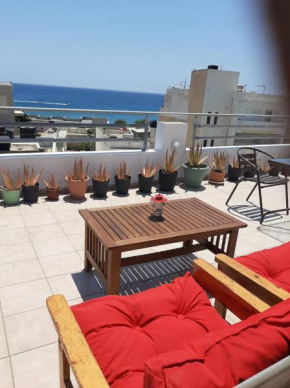 Comfy Apartment near the Sea